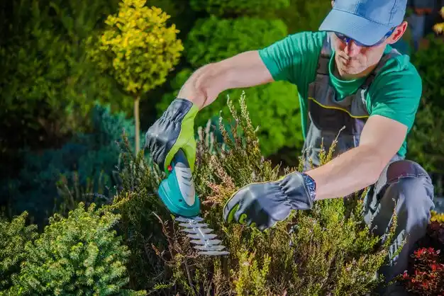 landscaping services Fillmore